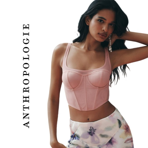 Anthropologie Mesh Corset Top in Raspberry - Picture 1 of 4
